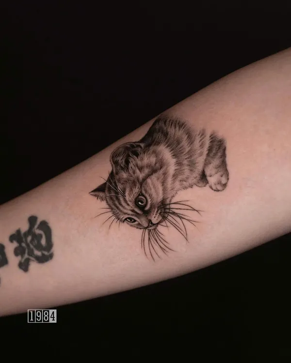 1984 studio - Realistic - Cat - Fore Arm