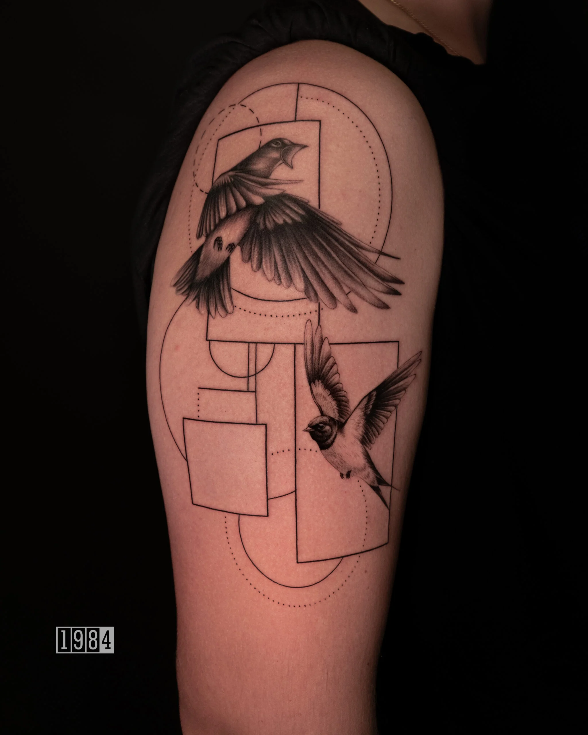 1984 Studio - Graphic - Bird - Upper Arm