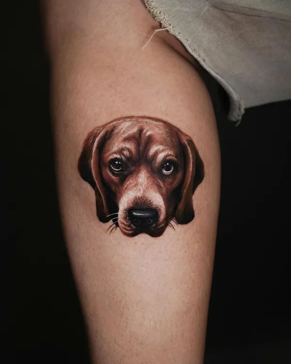 1984 studio - Realistic - Dog - Outer calf