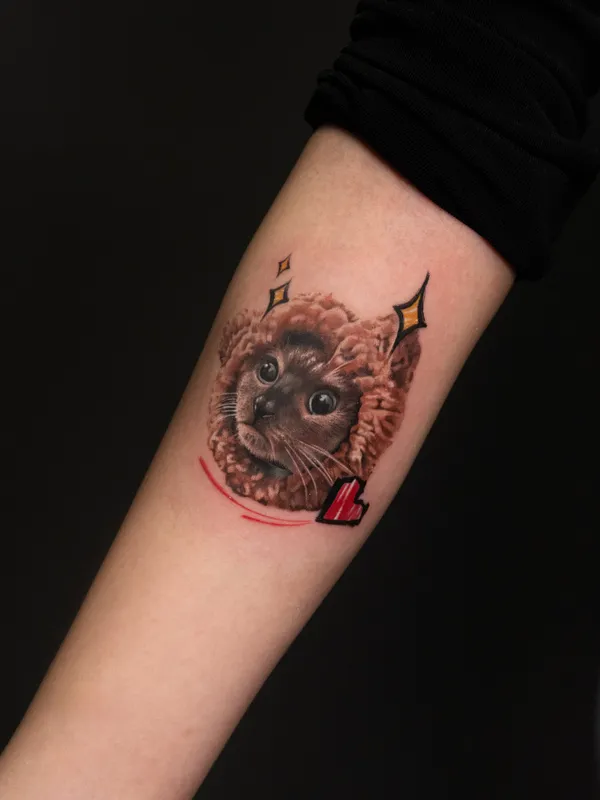 1984 studio - Realistic - Cat - Hand