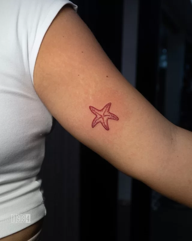 1984 Studio - Minimalistic - Arm