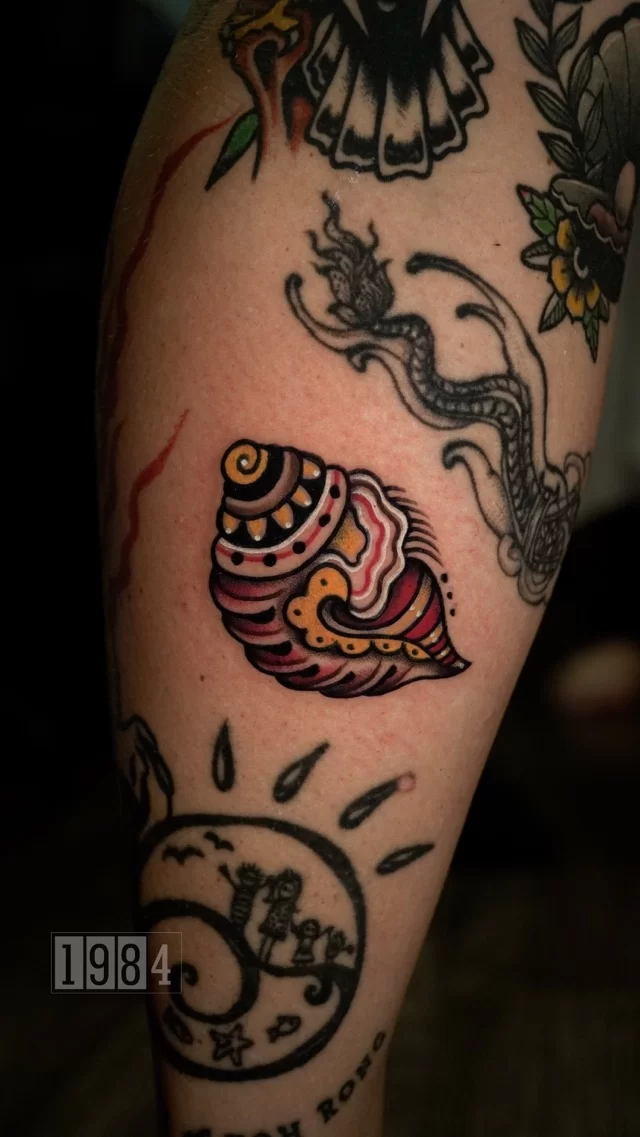 1984 Studio - Old school - Seashell- thigh