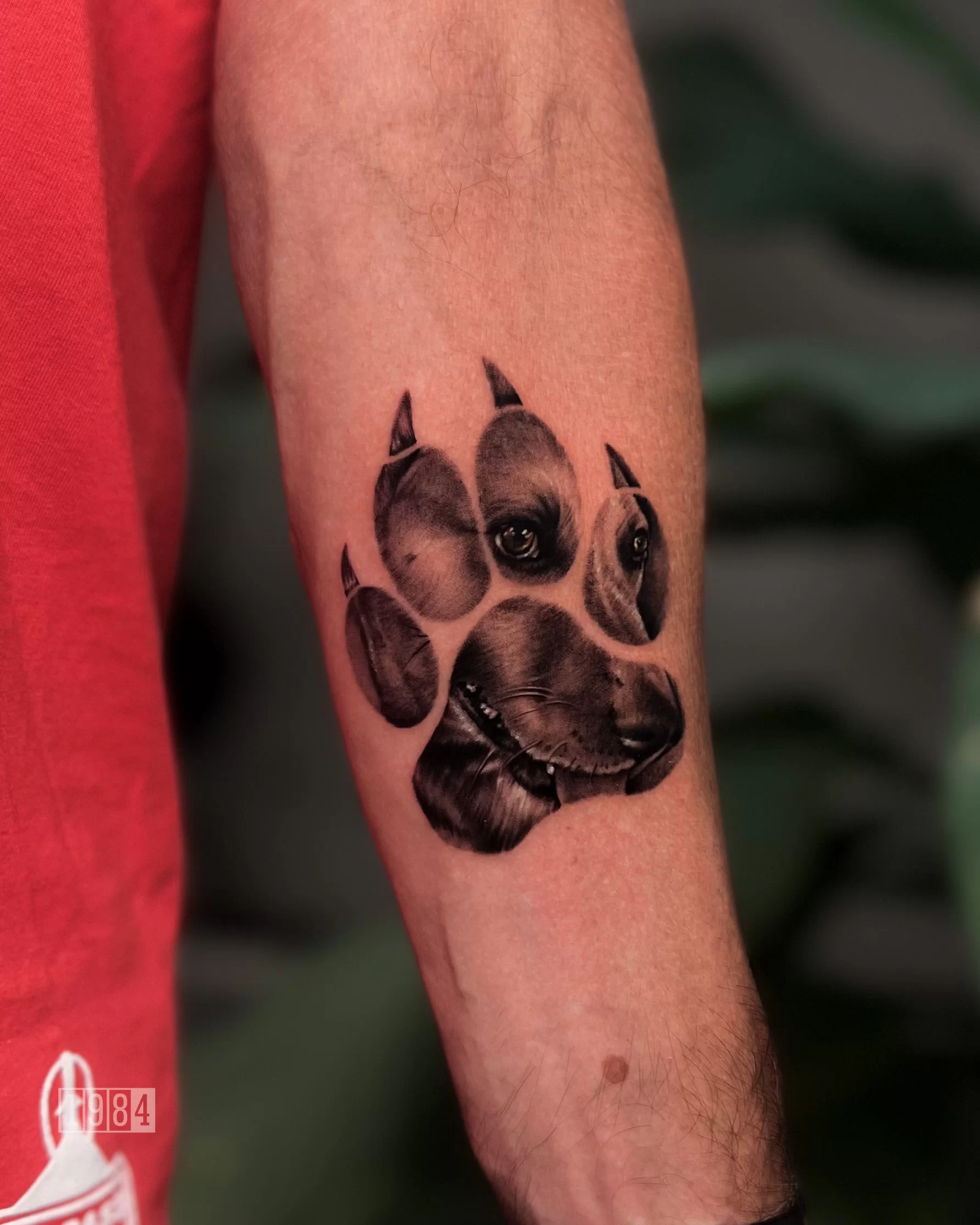 1984 Studio - Realistic - Pet - hand