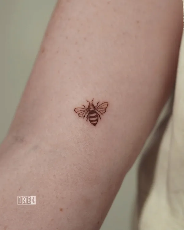 1984 Studio - Minimalistic - Bee - Biceps