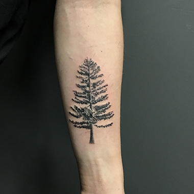blackwork tree tattoo on forearm