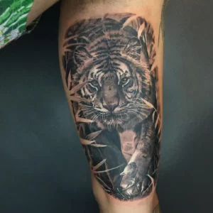 Tiger tattoos