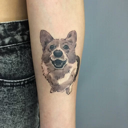 hình xăm thú cưng