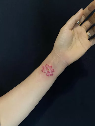 Hoa sen thể hiện nhiều ý nghĩa hay